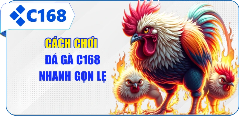 Cách chơi đá gà C168 nhanh gọn lẹ