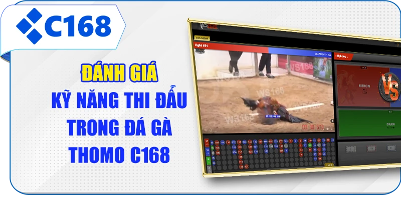 Đánh giá kỹ năng thi đấu trong đá gà Thomo C168