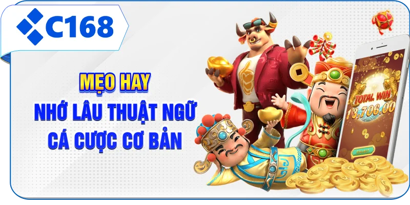 Mẹo hay nhớ lâu thuật ngữ cá cược cơ bản