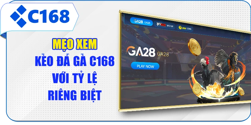 Mẹo xem kèo đá gà C168 với tỷ lệ riêng biệt
