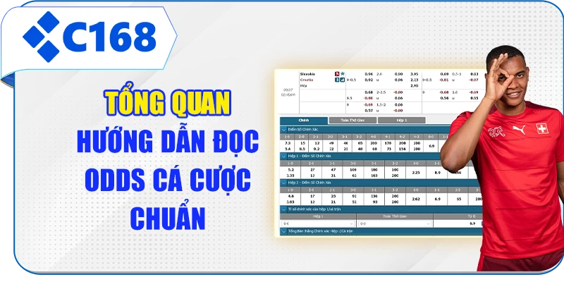 Tổng quan hướng dẫn đọc odds cá cược chuẩn